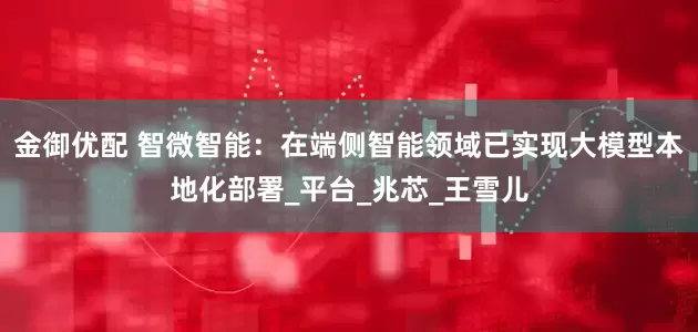 金御优配 智微智能：在端侧智能领域已实现大模型本地化部署_平台_兆芯_王雪儿