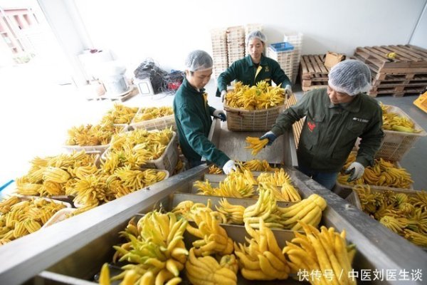 龙坤投资 生吃黄瓜，对胆囊炎有没有影响？有利还是有弊？医生一文告知