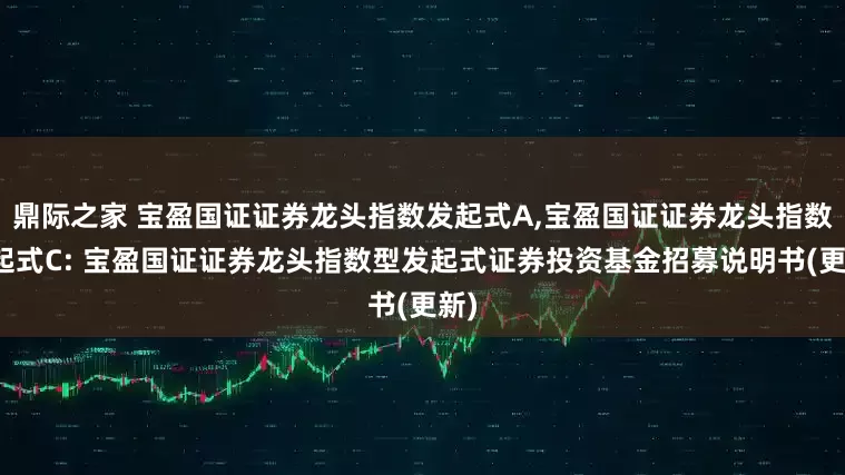 鼎际之家 宝盈国证证券龙头指数发起式A,宝盈国证证券龙头指数发起式C: 宝盈国证证券龙头指数型发起式证券投资基金招募说明书(更新)