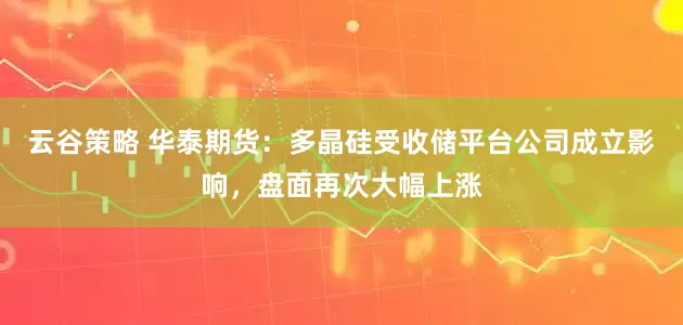 云谷策略 华泰期货：多晶硅受收储平台公司成立影响，盘面再次大幅上涨